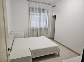 Humanitas, Forum assago, università