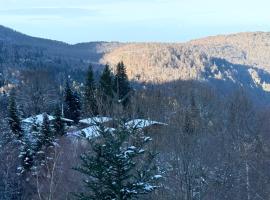 Charmant studio aux pieds des pistes, hotell sihtkohas Montferrier