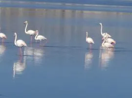Kairos Isola di Sant'Antioco