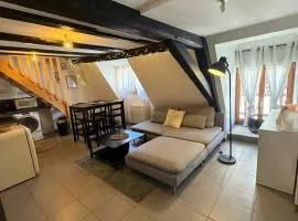 Appartement en duplex au centre-ville de Sélestat