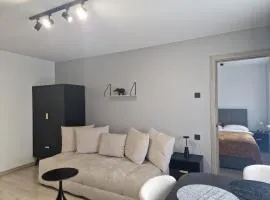 VIN service Kosmonautu street 10