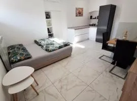 Casa D'oro1700 - Old town Koper