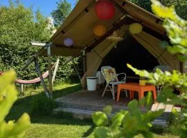 Sfeervol verblijf met Alpaca's