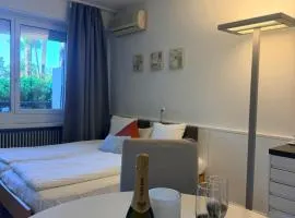 Holiday on The Lake Lugano 2