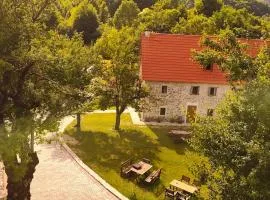 Guesthouse Dritan Tethorja