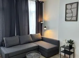 Modern Apt for 4 Quiet & Near City Center