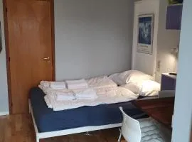 Central Microflat, free parking, garden BBQ, LegoHouse, Legoland,