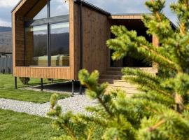 Nest house, hotel din Skole