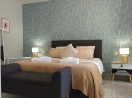 Fleurs de Cosmos Chambre d' hôtes Albi