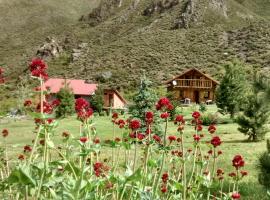 La Araucaria, hotel in Potrerillos