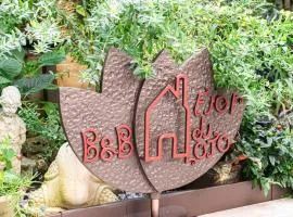 Fiordiloto B&B 4 STARS