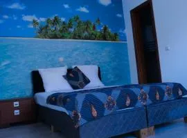 Appartement dépaysante T1B