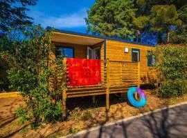 Mobil home confortable - 6 pers. - API-1-52-2193