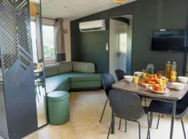 Mobile-home climatisé pour 6 pers. - API-1-52-2190
