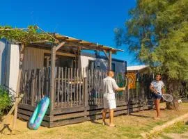 Cottage, animaux OK, clim - 6 pers. - API-1-52-2199