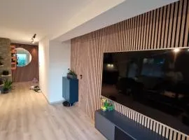 Aurora Central Premium Apt Bodø