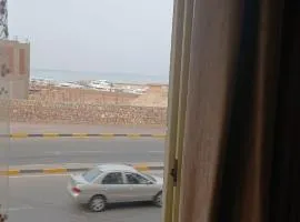 فينوس