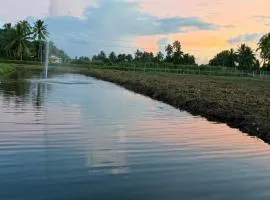 Palm Breeze Nausori