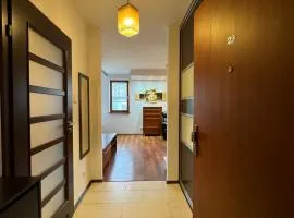 City Heart Apartments for 4 free parking