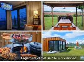 Chalet moderne avec grandes baies vitrées et espace plancha