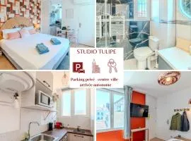 Tulipe Roanne centre-ville - Parking & Clim