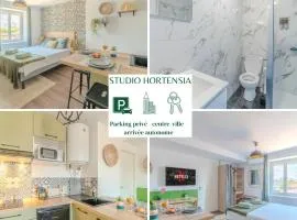 Hortensia Roanne centre-ville - Parking & Clim