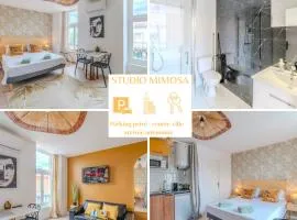 Mimosa Roanne centre-ville - Parking & Clim