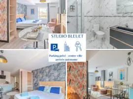 Bleuet Roanne centre-ville -Parking & Clim