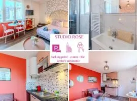 Rose Roanne centre-ville - Parking & Clim