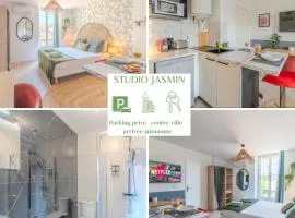 Jasmin Roanne centre-ville - Parking & Clim