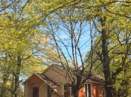 Nagil Bagı, hotel v destinaci Masalli