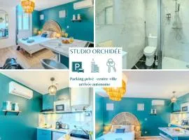 Orchidée Parking & Clim - Roanne centre-ville