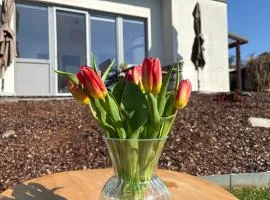 Ferienhaus am Tor zur Wachau