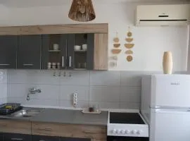 Jokica apartmani 2