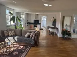 Stilvolles Design Apartment im Dreiländereck nahe Basel