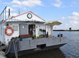 Außergewöhnliches Hausboot inmitten der Natur, Hotel in Wewelsfleth