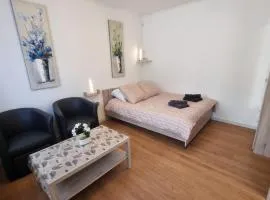 Appartement F1 Rethel avec Netflix