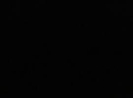 Goa Villa, hotel a Calangute