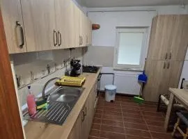 Apartament 1 Mai 2 camere