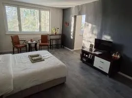 Stylish 1-bedroom apartment for 3 with balcony, free parking & river views in a quiet area