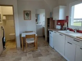 Vue sur l'étang et les vaches