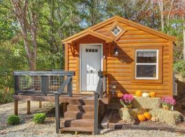 1ACozy Cabin in Cosby 1 King Bed 2 Queen Bunk Beds, Hotel in Cosby