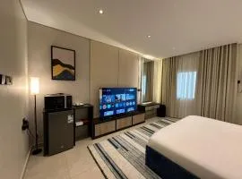 Ambra 210