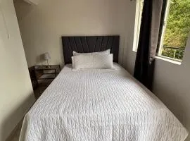 Minca nomada 517 de la sierra