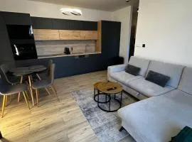 rishko apartment 113, self check in, free parking, bus station, center of the city
