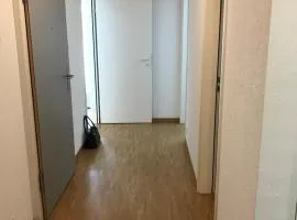 Private room in new apartment Daniel-Ihly