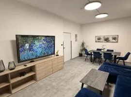 Teplice Apartments 2