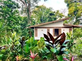 Jungle & Ocean Hideout, Puerto Viejo