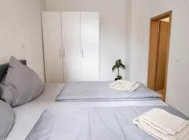 Acorn Apartments Modern Apartment