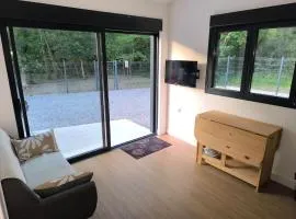 Studio indépendant face à la forêt